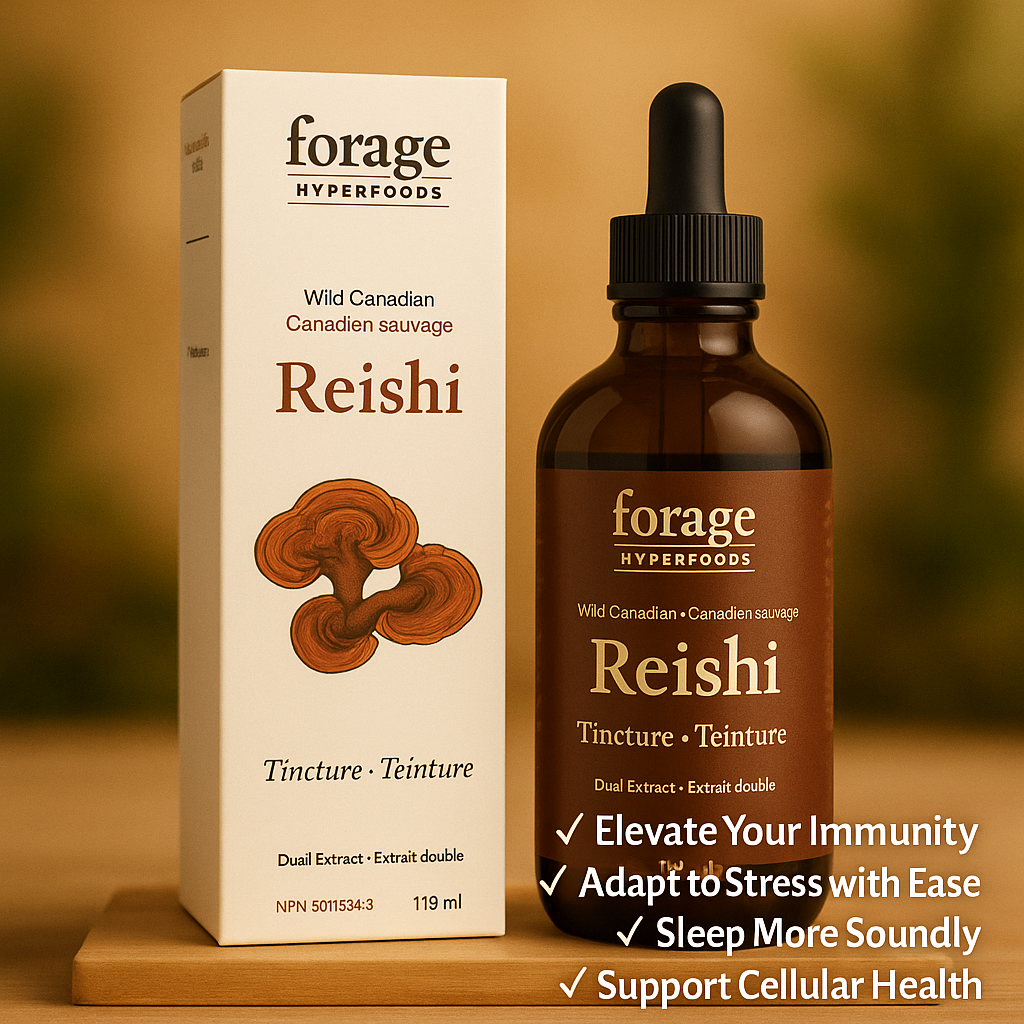 Forage Hyperfoods- Original Canadian Wild Reishi Mushroom Superfood